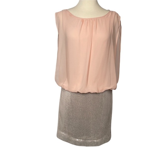 Hailey by Adrianna Papell Pink/Silver Chiffon Sequined Sleeveless Dress Size 4 - Picture 1 of 14